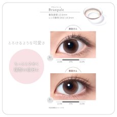 画像3: シンシアワンデーS　クレシェ ３０枚入り (3)